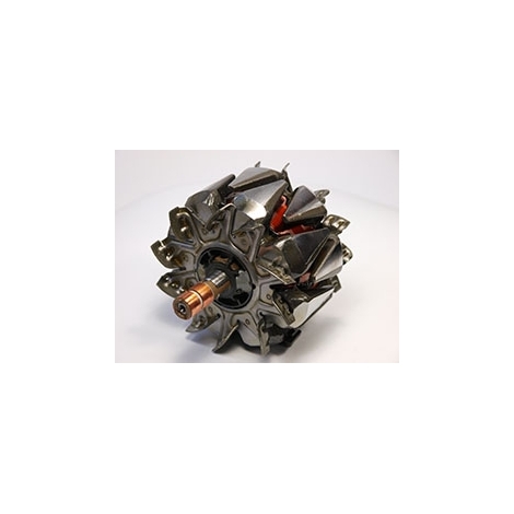 Alternator rotors - / AR3025