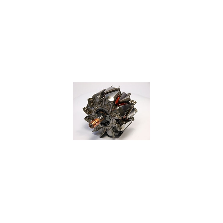 Alternator rotors - / AR3025