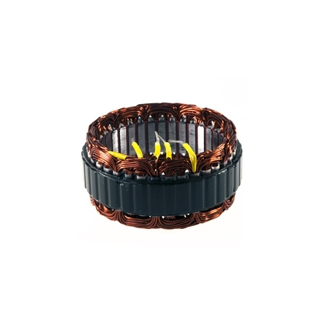 Alternator stators / A004TR5691