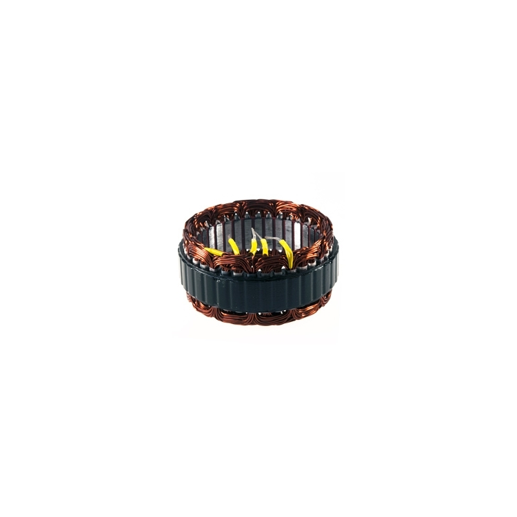 Ģeneratora stator / A004TR5691